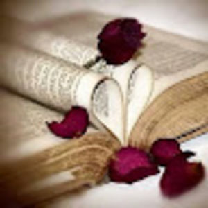 Meet your Posher, Ann marie